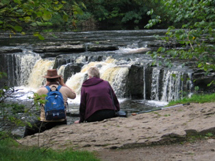 wensleydale