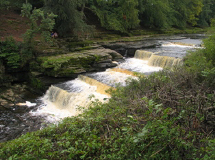 wensleydale