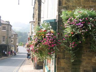 pateley