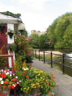 ripon