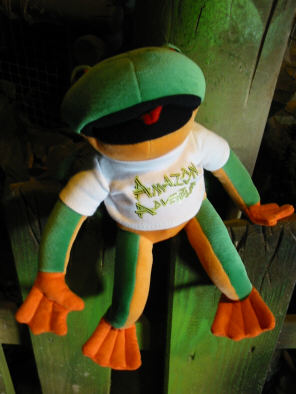 amazonadventure frog