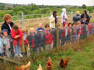 feeding the chickens at Earth Centre