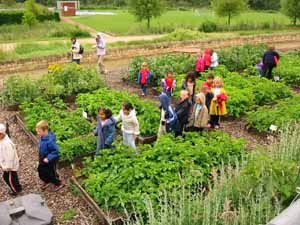 PHOTO SHOWING TOWN FIELD AT THE ALLOTMENT GARDENS