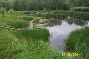 photo of fishing lake