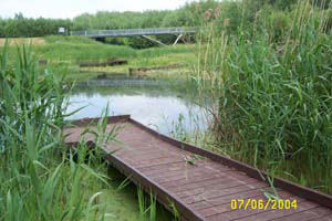 picture of fisherman's  lake