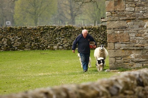 upper-wharfedale