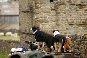 upper-wharfedale