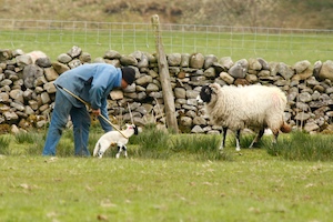 upper-wharfedale