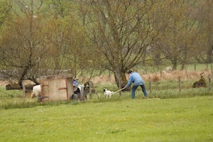 upper-wharfedale