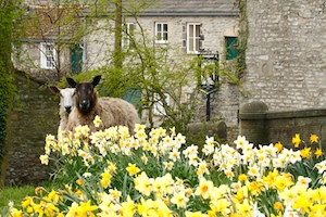 upper-wharfedale