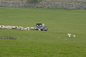 upper-wharfedale