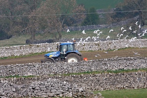 upper-wharfedale